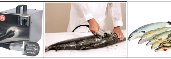 Odstraňte šupiny z rybího masa bezpečně a pohodlně